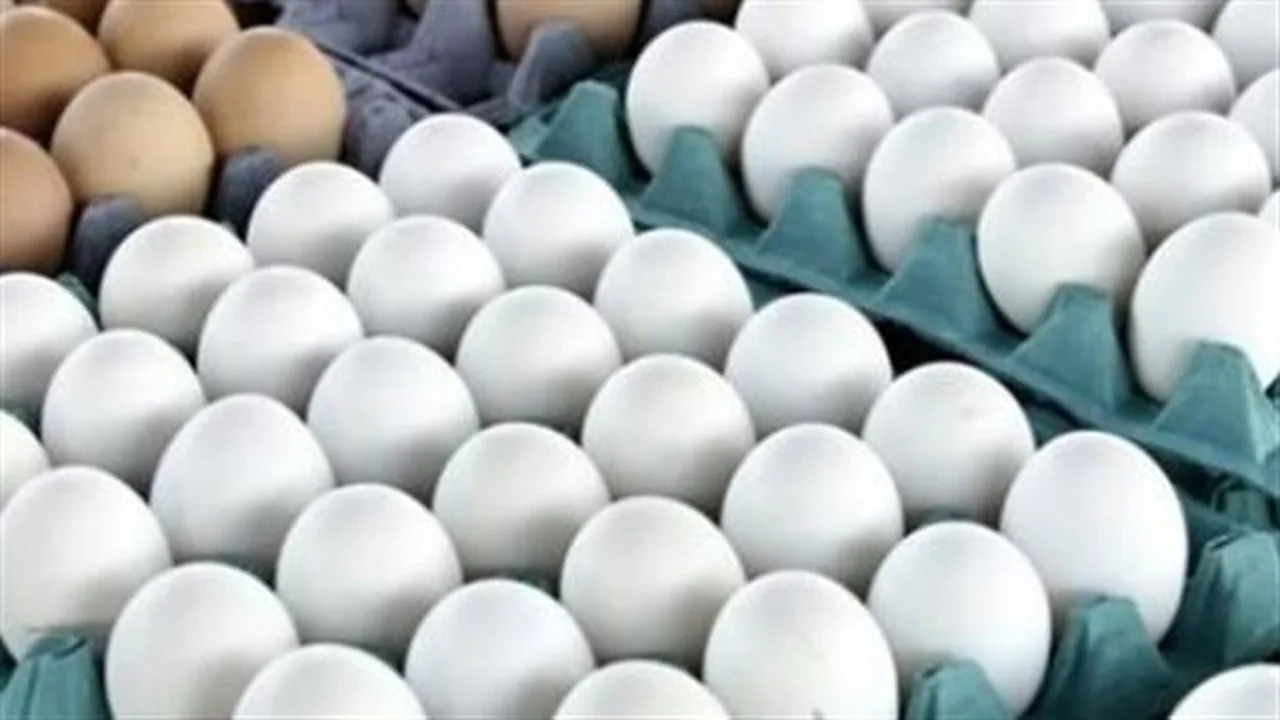 تحديث الأسعار.. قائمة تكلفة كرتونة البيض في المحلات التجارية اليوم